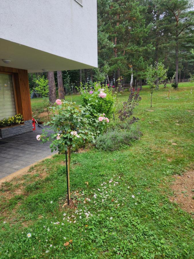 Forest No 303,tarcin Sarajevo