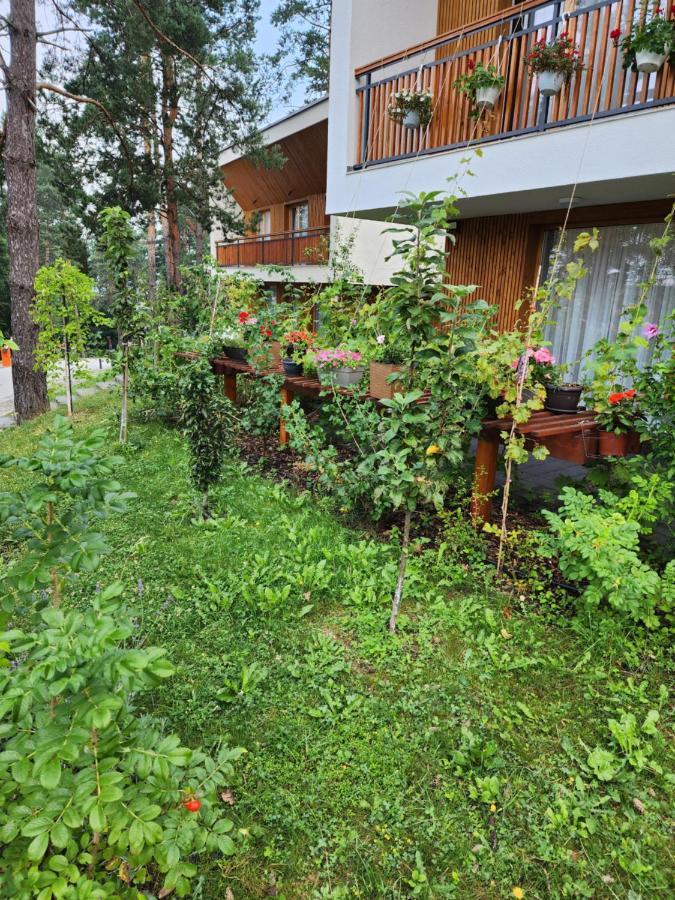 Villa Forest No 303,tarcin