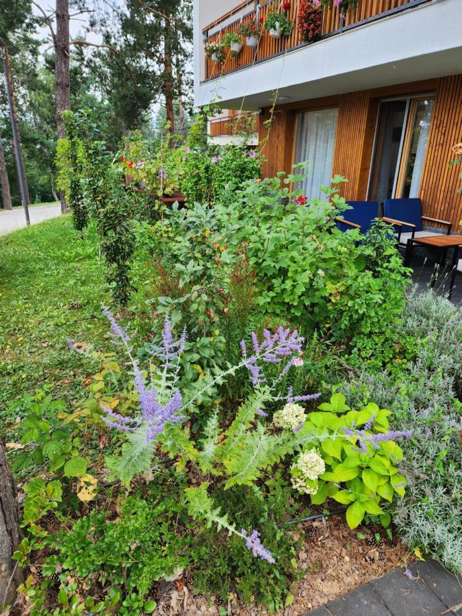 Villa Forest No 303,tarcin *