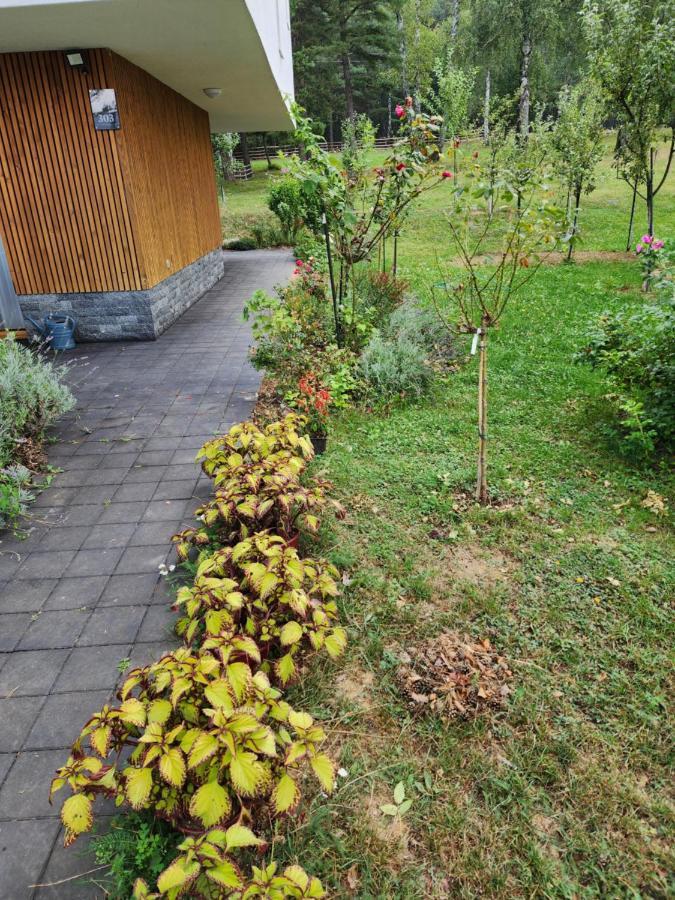 Forest No 303,tarcin * Sarajevo