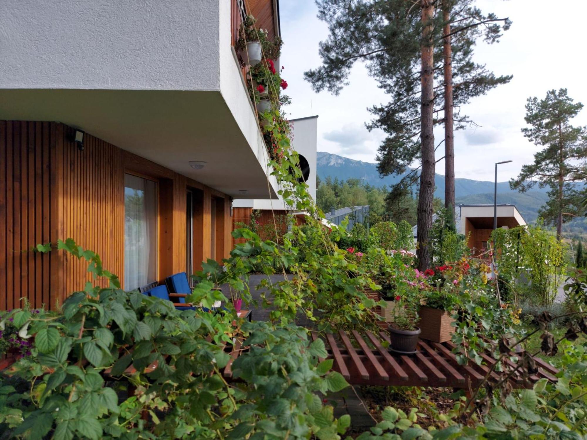Villa Forest No 303,tarcin *